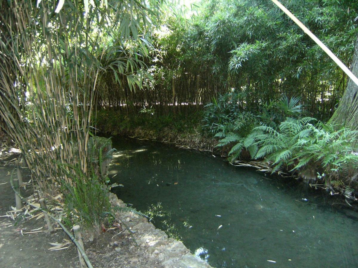 Retour Aux Sources Sauve Exterior foto